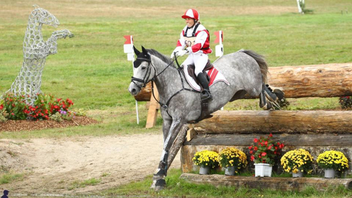 EVENTING DU FAY